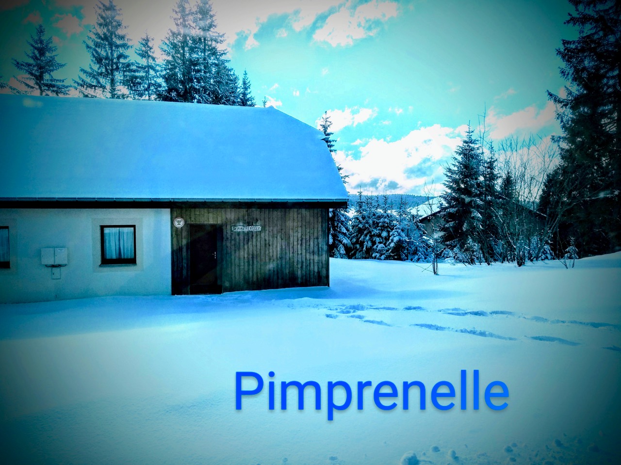 PIMPRENELLE 12