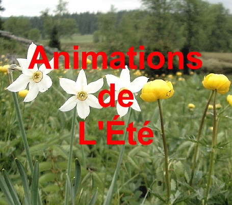 TITRE ANIMATION
